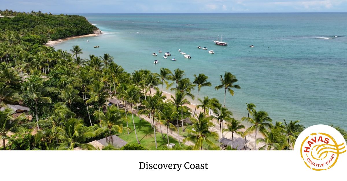 Discover The Discovery Coast Havas Creative Tours