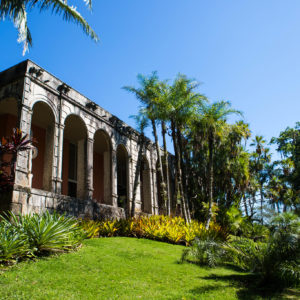 HALF DAY BURLE MARX
